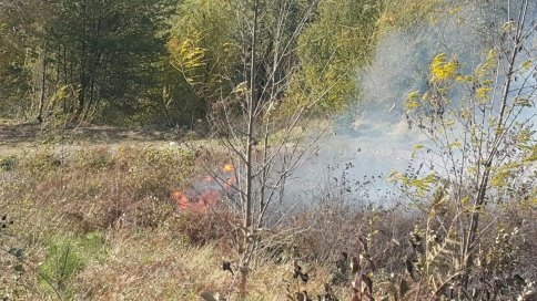 Kuzuluk Orman Park Civarında Yangın Çıktı